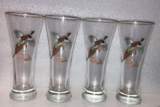 Pheasant Beer Glass With Gold Rim Set Of 4