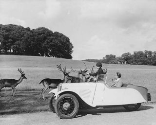 Old Photo Threewheeler Sports Car In A Deer Park Circa 1935