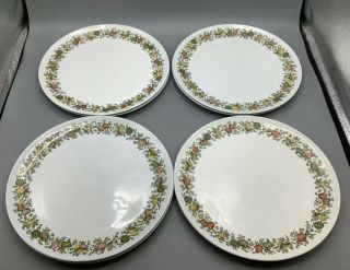 8 Vintage Spice Of Life Corning Corelle 10 1/4” Dinner Plates