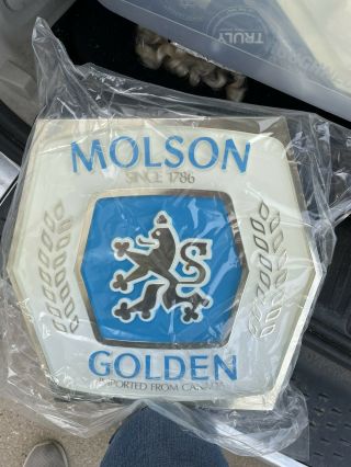 Molson Golden Beer Sign Vintage Advertising Hard Plastic Man Cave Bar 13 " X 14 "