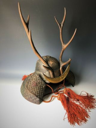 Decorative Japanese Iron Samurai Kabuto Helmet Vintage H.  16.  9” 11.  4lbs Deer horn 2