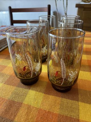 Vintage Set Of 6 Smoked Glass Wheat Tumblers Drinking Glasses 1970s Libbey