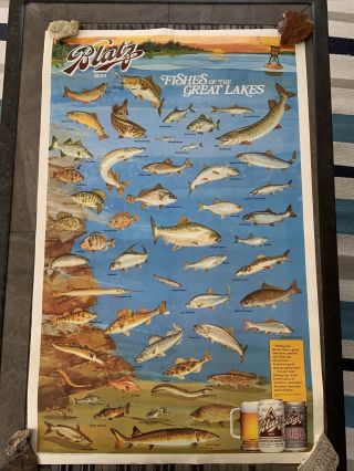 Vintage Blatz Beer 1991 Fishes Of The Great Lakes Poster G.  Heileman Brewing Co