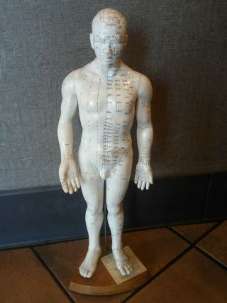 Vintage Rubber Acupuncture Points Human Male Model Mannequin On Stand - 20 " Tall