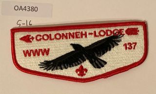 Boy Scout Oa 137 Colonneh Lodge Flap S16