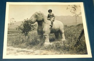 1924 Ming Tomb Nanking China Stone Horse Statue Photo