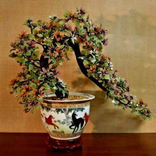 30 " Bonsai Juniper Peking Glass / Jade Tree On Sandalwood Stand Planter W/horses