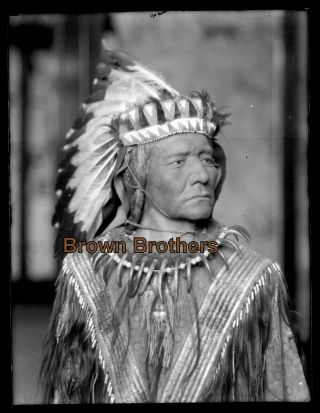 1900s Native American Indian Chief Headdress Claw Glass Photo Camera Negative