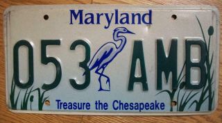 Single Maryland License Plate - 053 Amb - Treasure The Chesapeake