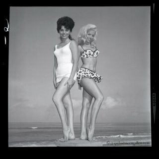 Bunny Yeager 1960s Pin - up Negative Bathing Beauties Betty Andrews Teddy Johnson 2
