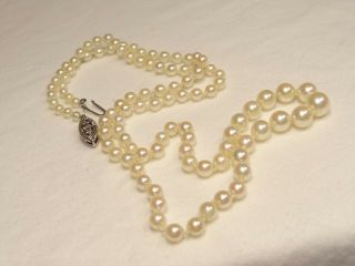 Vtg 50s/60s Graduated Cultured Pearl 22 " Necklace W/ 14k White Gold Clasp