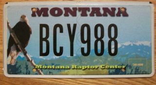 Single Montana License Plate - Bcy988 - Montana Raptor Center - Eagle