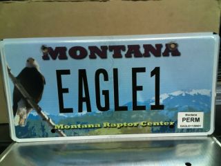 Montana Raptor Center Vanity License Plate Eagle1