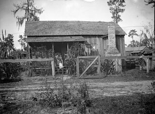 1899 Plant City Florida Black Woman & Child Flowers Cabin Glass Photo Negative