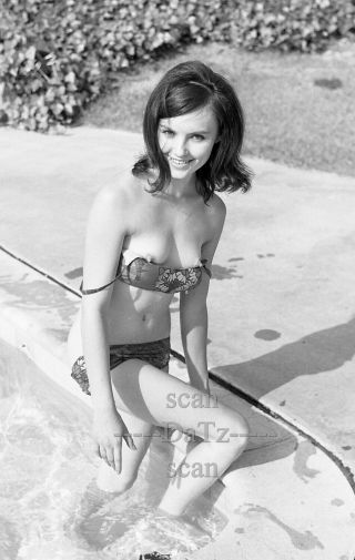 Vintage 1960s Negative - Nude Brunette Pinup Girl Gaydene Kalva - Cheesecake T434116