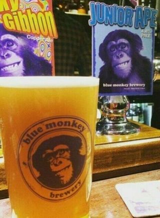 Set Of 2 X Blue Monkey Brewery Beer Ale Pint Glasses 20oz