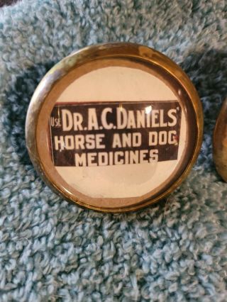 Bridle Rosette ' s Dr A C Daniels Horse and dog med adv 2 in brass and glass 2