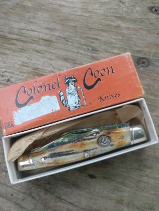 Vintage Colonel Coon Stag Gunstock Stockman Pocket Knife 1 Of 250