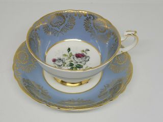 Vintage Blue Paragon White Cabbage Rose Bone China Cup & Saucer