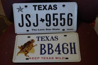 Texas License Plate & Horned Toad Graphic Plate (2) Keep Texas Wild Plate
