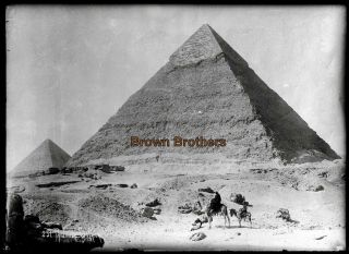1910s Historic Egypt Sahara Desert Pyramids Camels Glass Photo Negative 1