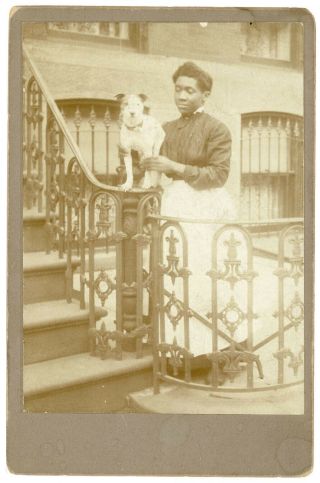 African American Black Woman & Precarious Small Dog Trick Antique Cabinet Photo