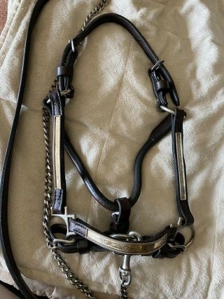 Weanling Show Halter.  Matching Lead.  Vintage