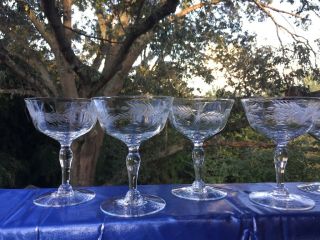 Vintage WHEAT Etched Champagne Wine Parfait Footed Glasses ▬ 5 