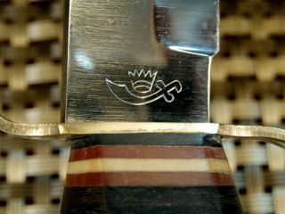 1950s Rare Ern Solingen Germany Stag Bone Antler Vintage Hunting Knife /case Set