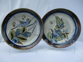 Set Of 2 Ken Edwards Blue Bird Pottery Dishes Plates Mexico Scorpion Mark 10”