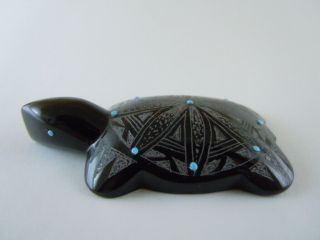 Ornate Graffito Zuni Blue Spotted Black Turtle Fetish Carving Jonathan Natewa 76