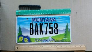 License Plate,  Montana,  Choose Life,  Bak 758