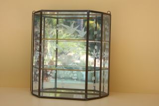 Vintage Mini Mirrored Glass Brass Curio Display Cabinet With Etched Glass