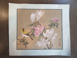 Two Vintage Chinese Watercolor On Silk Paintings Birds Flowers Pair (900 - 101)