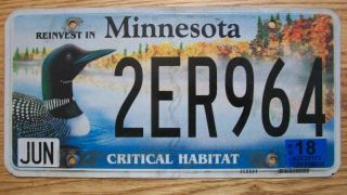Single Reinvest In Minnesota License Plate - 2er964 - Critical Habitat - Loon