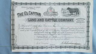 1894 Fort Stanton Mexico El Capitan Land & Cattle Company Stock Certificate