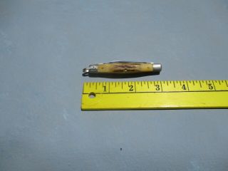 Vintage Case Xx Bone Handle Pocket Knife 2 Blade 52042 R Ssp