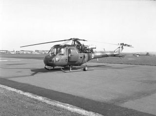Army Air Corps,  Westland Scout Ah.  1,  Xt617; Large Negative
