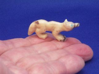 Miniature Zuni Wolf Fetish By Brian Yatsattie,  Picasso Marble,  Native American