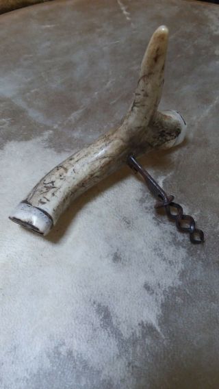 Antique Stag Horn Corkscrew W Double Helix Worm
