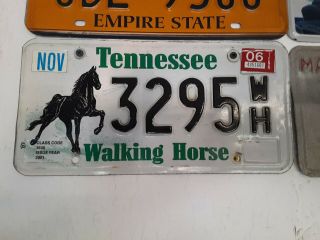 Tennessee " Walking Horse " 3295 W/h License Plate - Black Horse 06 Kool