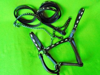Terrific Buck Stitch Leather Horse Halter & 2 Matching Leads Supple Cond Nr