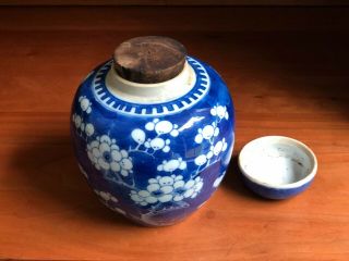 Vintage Chinese Blue White Prunes Cherry Blossom 6 " Ginger Jar Double Ring Mark