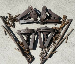4 Oneida Victor 3 1911 Long Spring Traps Unique Chain & Swivel Newhouse Trap