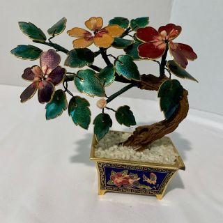 Vintage Small Chinese Guilloche Enamel Bonsai Tree Flowers W Coral Cloisonne Pot