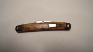 Vintage Shapleigh Hdw Co St Louis Mo Pocket Knife,  2 Blade