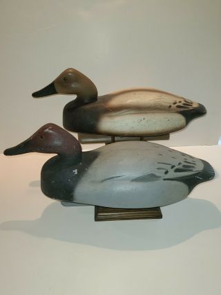 Vintage Tex Wirtz Canvasback Duck Decoy Pair