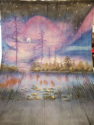 Muslin Backdrop 10x20 Euc Hand Painted Scenic Vintage Sunset Forest