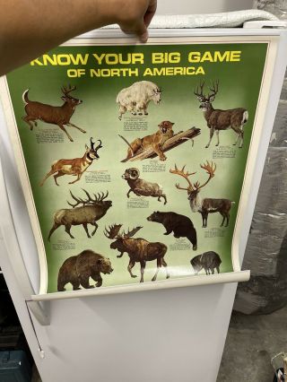 Remington Dupont Know Your Big Game Of North America Vtg Store Display Poster