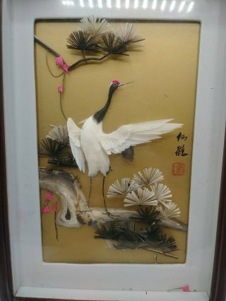 Chinese Bird Feather Art Shadow Box Pictures Vintage Framed Feathercraft Signed